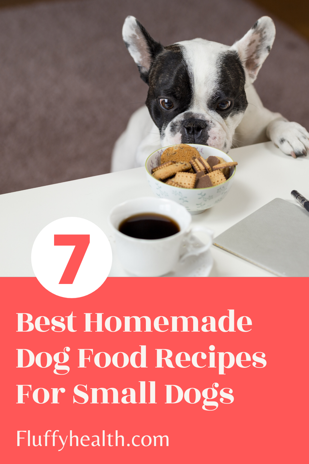 Homemade-Dog-Food-Recipes-For-Small-Dogs