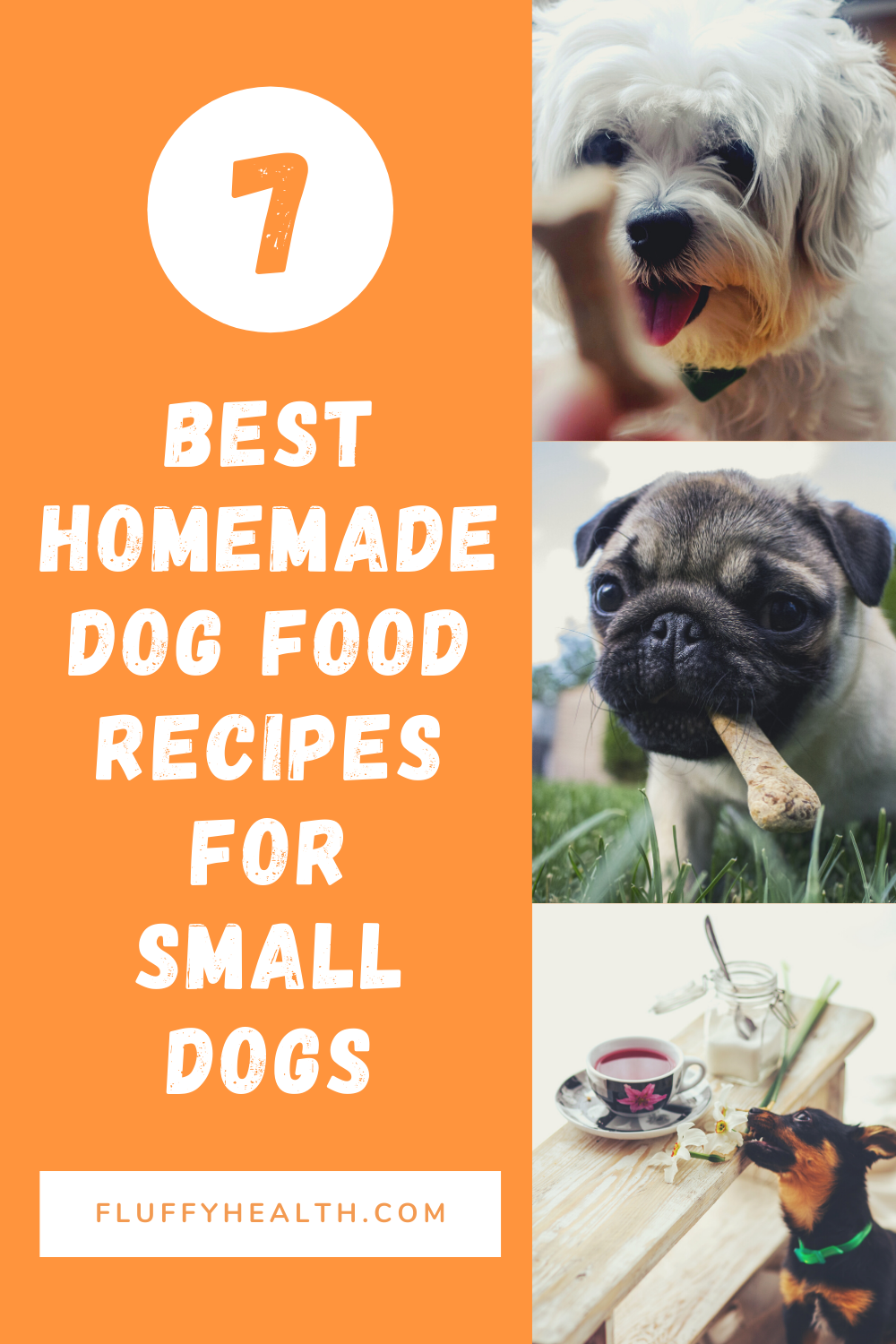 Homemade-Dog-Food-Recipes-For-Small-Dogs