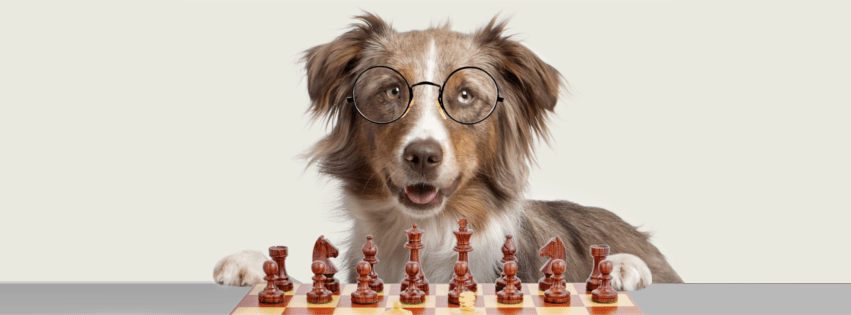 Brain-Training-For-Dogs-Review