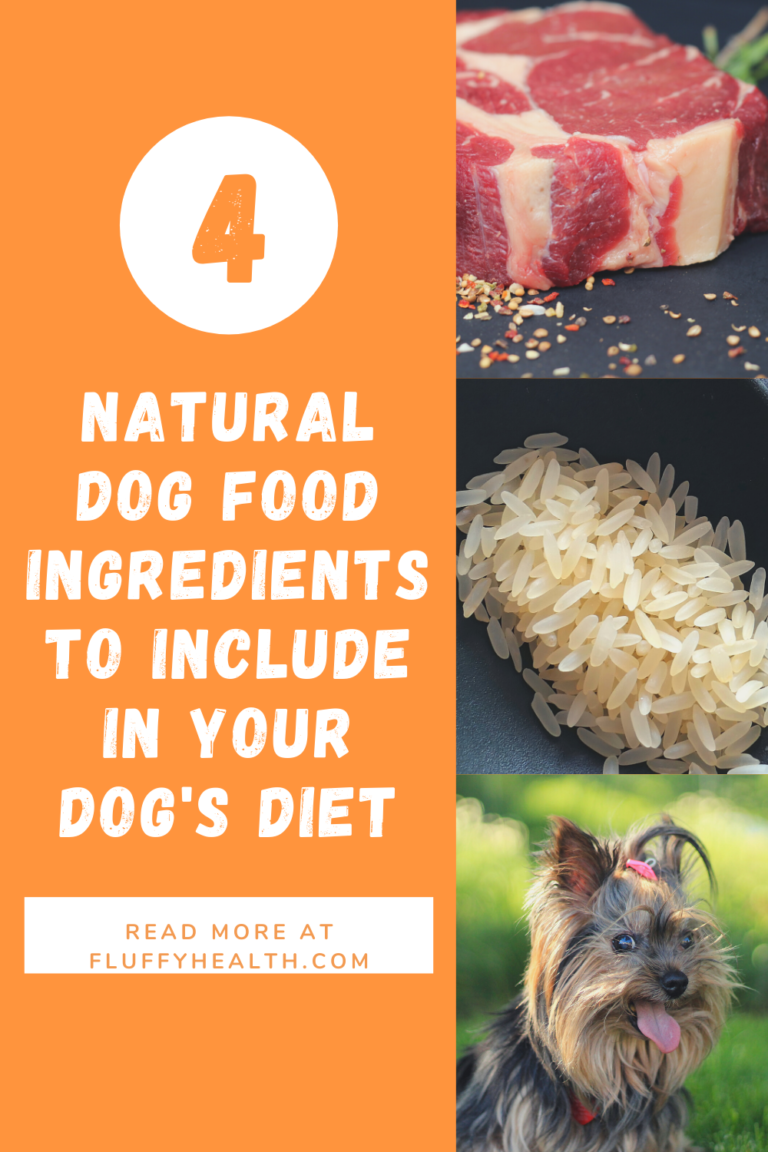 Natural Dog Food Ingredients To Include In Your Dog's Diet | Fluffyhealth