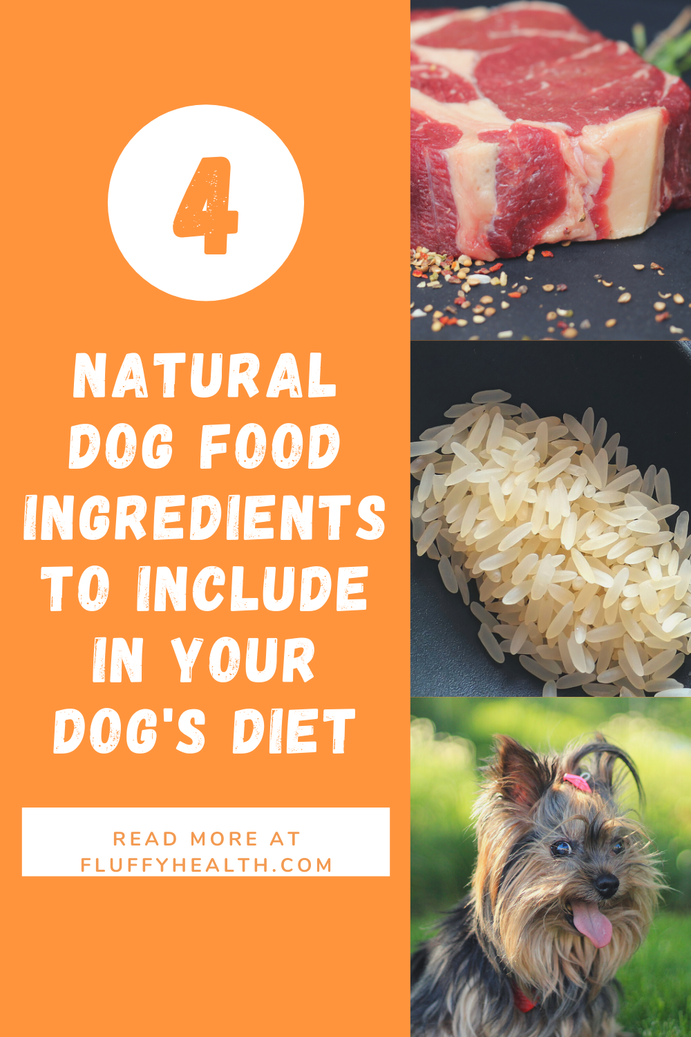 natural-dog-food-ingredients