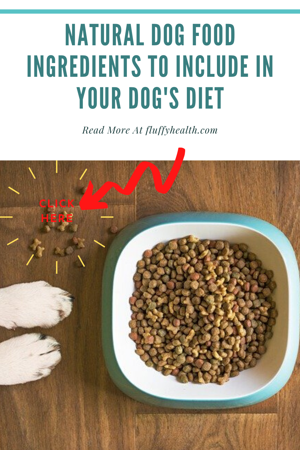 Natural Dog Food Ingredients List