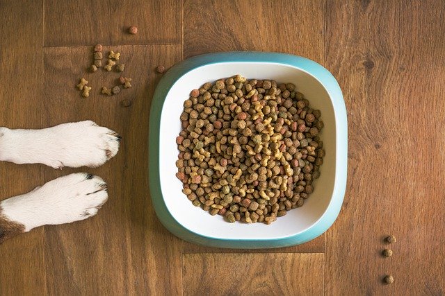 natural-dog-food-ingredients