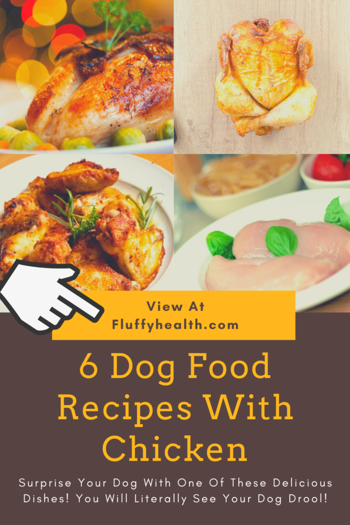 6 Dog Food Recipes With Chicken, 4 Is Just Amazing FluffyHealth