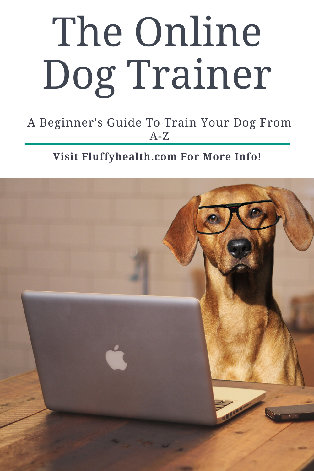 Doggy-Dans-Online-Dog-Trainer