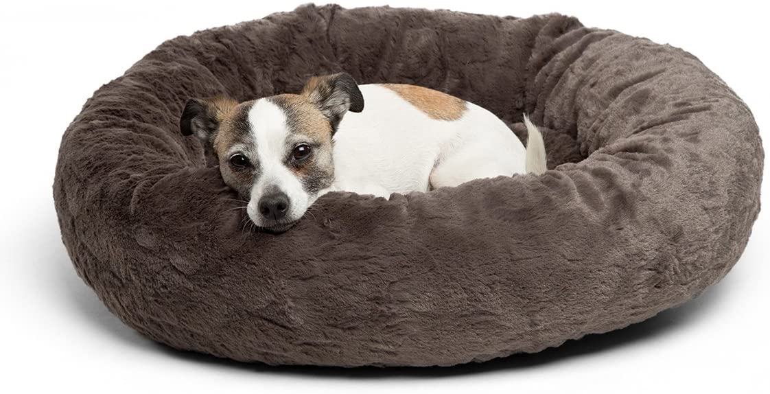 cheap-dog-beds