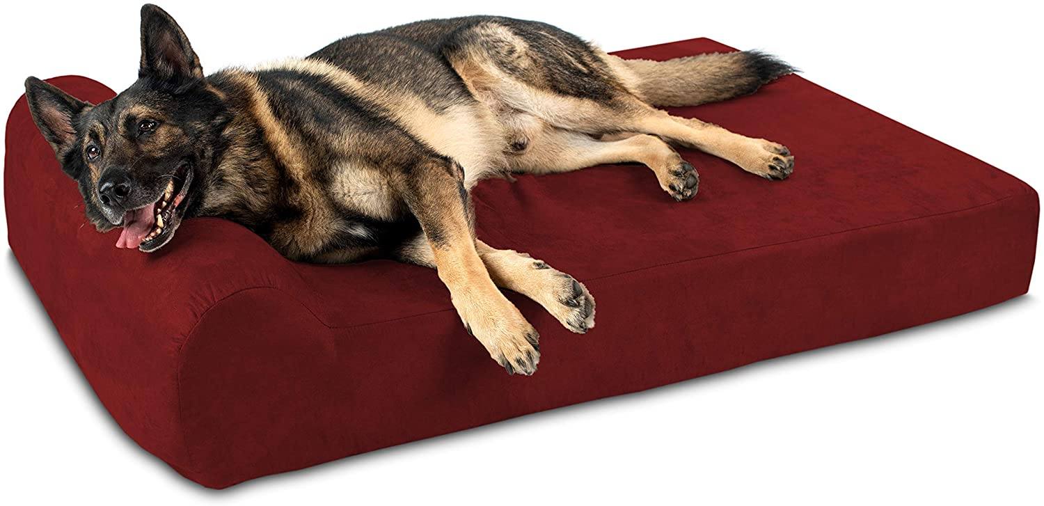 cheap-dog-beds