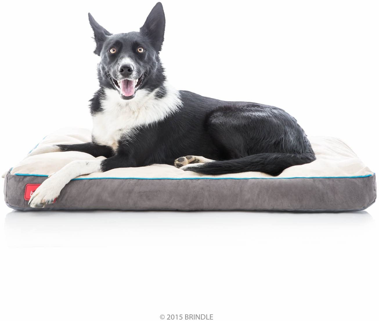 cheap-dog-beds