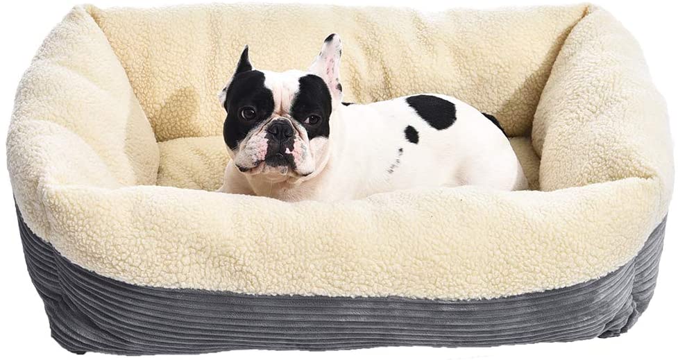 cheap-dog-beds