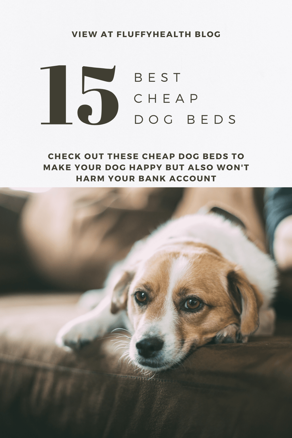 cheap-dog-beds