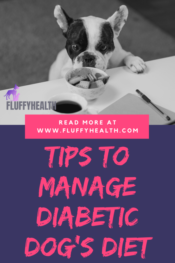 Canine Diabetes Diet - 5 Important Nutrients & Tips To Manage Diabetic Dog's Diet | Fluffyhealth