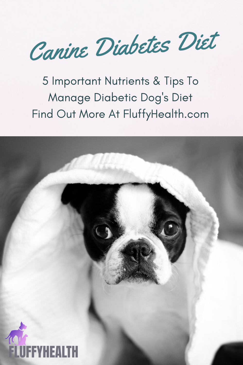 Canine Diabetes Diet - 5 Important Nutrients Tips To 