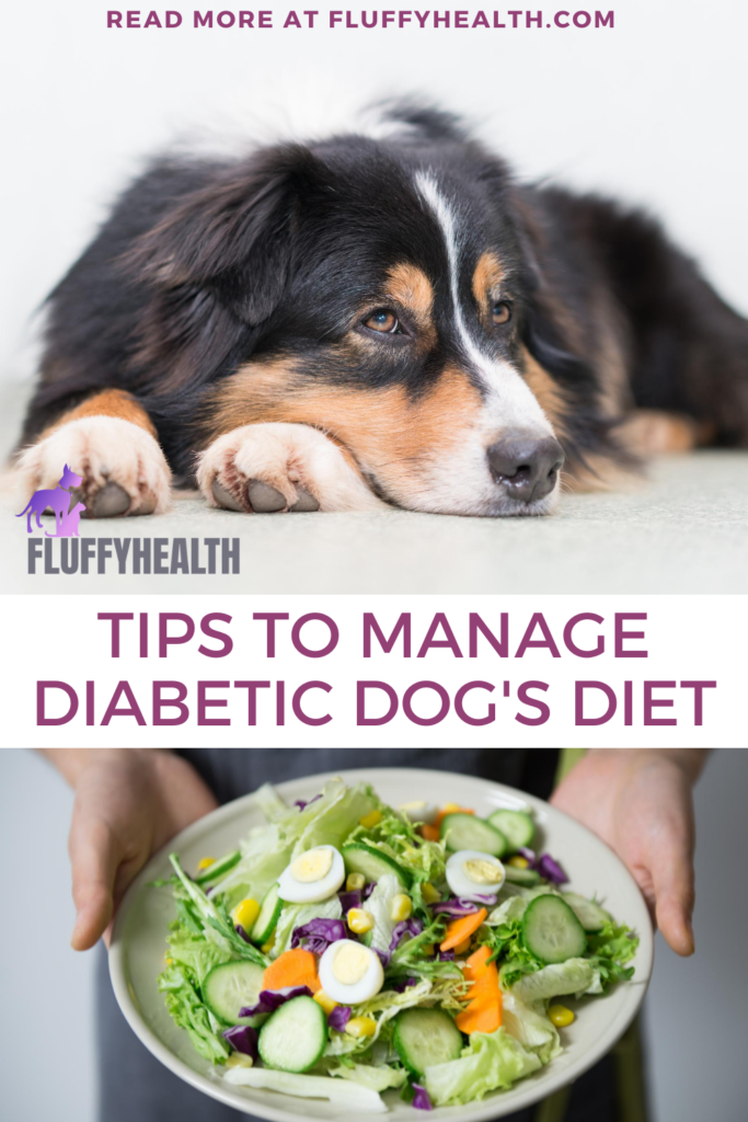 Diabetes Diet For Dogs Homemade : Top 10 BEST Homemade Diet For Dog