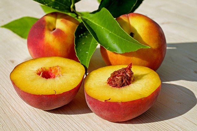 can-dogs-have-peaches