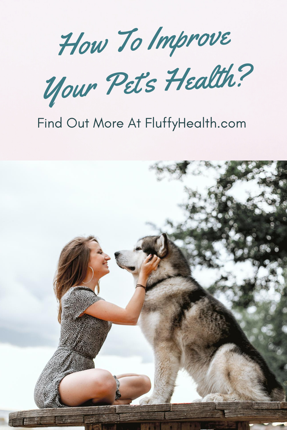 pet-and-healthcare