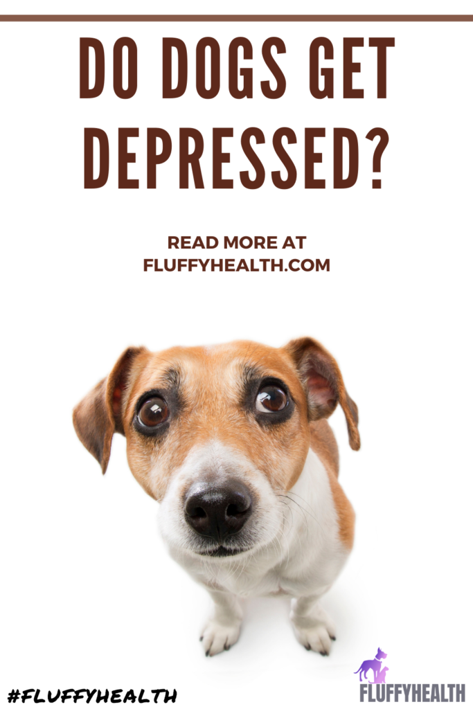 do-dogs-get-depressed