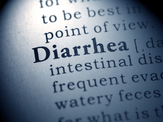 why-does-my-dog-have-diarrhea