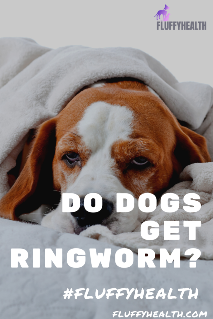do-dogs-get-ringworm
