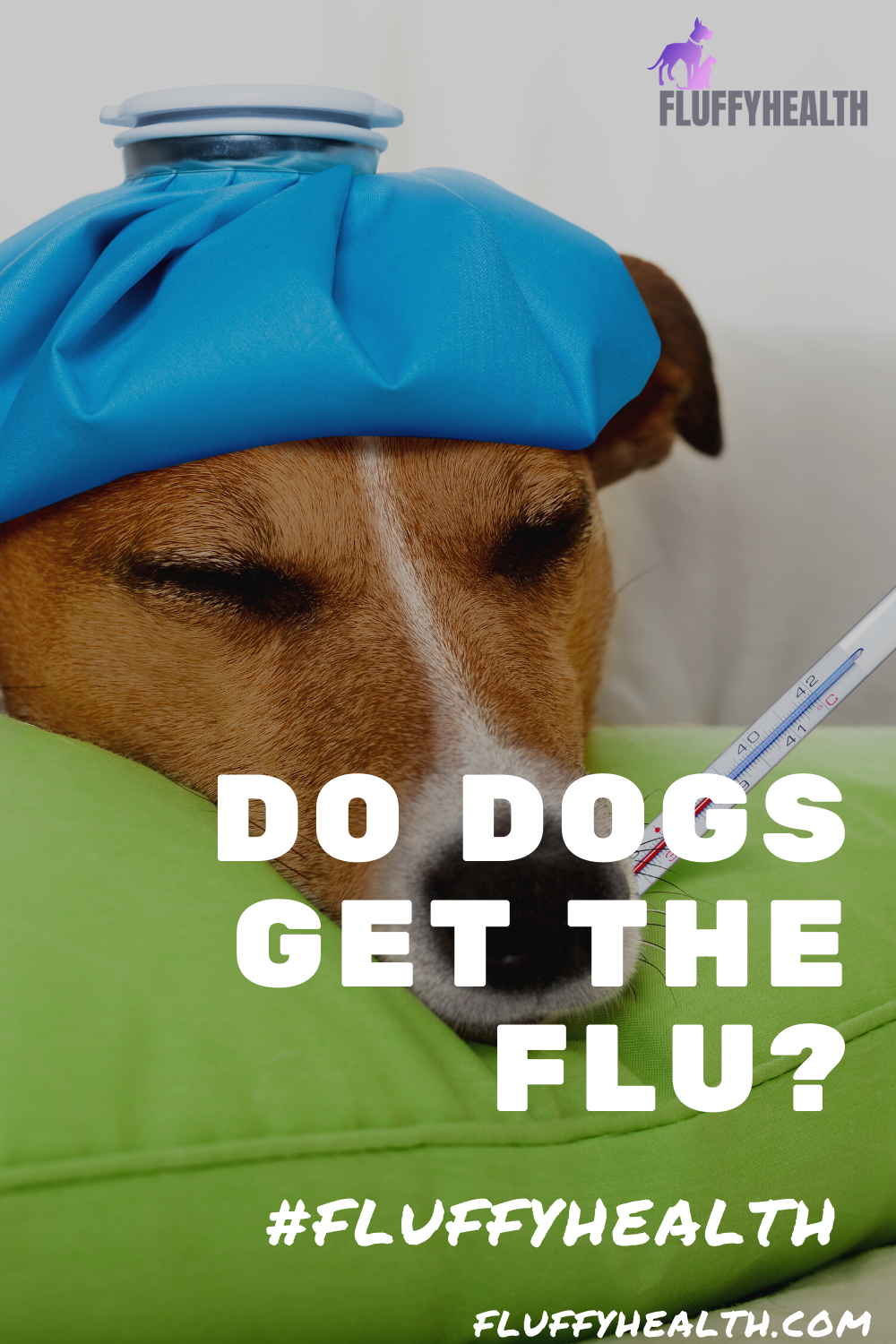 Do Dogs Get The Flu? A Dog Parent 101 Comprehensive Guide To Deal With
