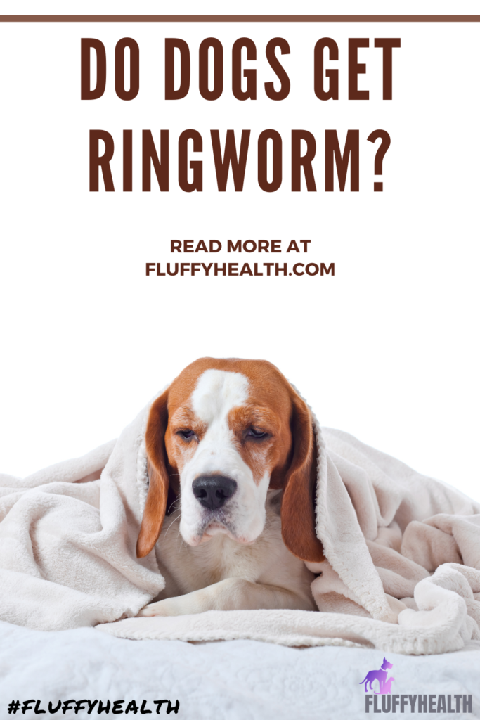 do-dogs-get-ringworm