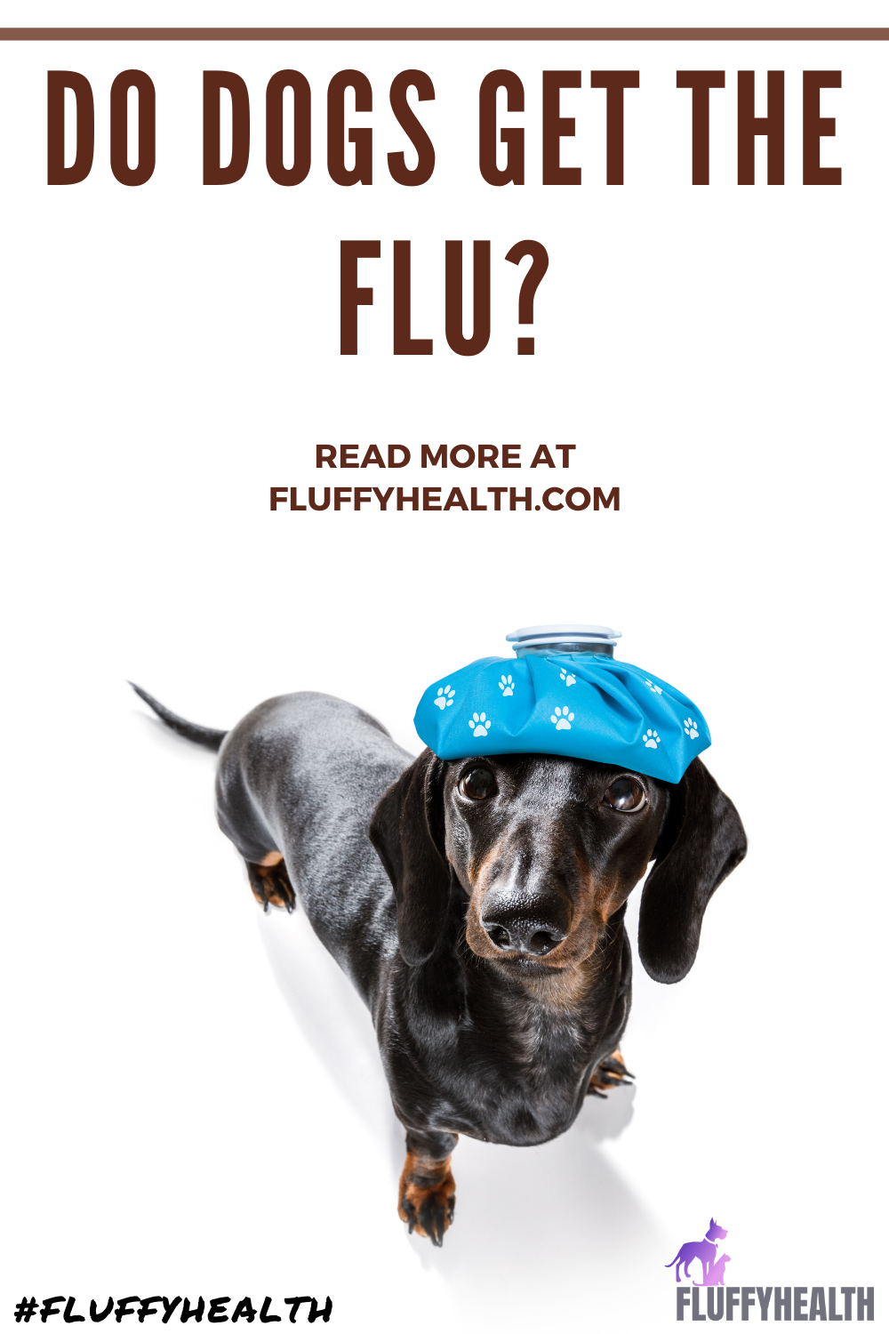 do-dogs-get-the-flu-a-dog-parent-101-comprehensive-guide-to-deal-with