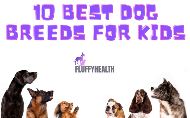 10-best-dog-breeds-for-kids