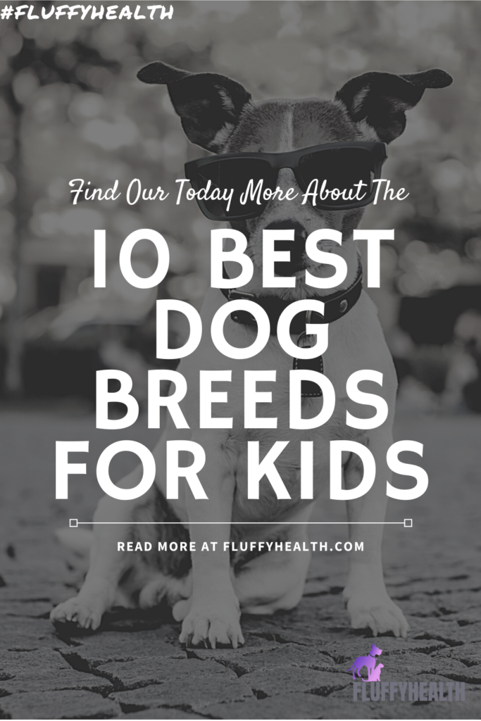 10-best-dog-breeds-for-kids