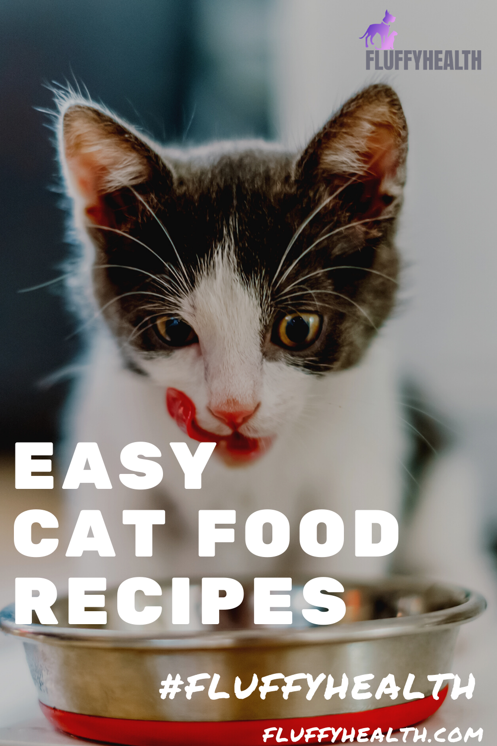 Homemade Easy Cat Food Recipes Fluffyhealth