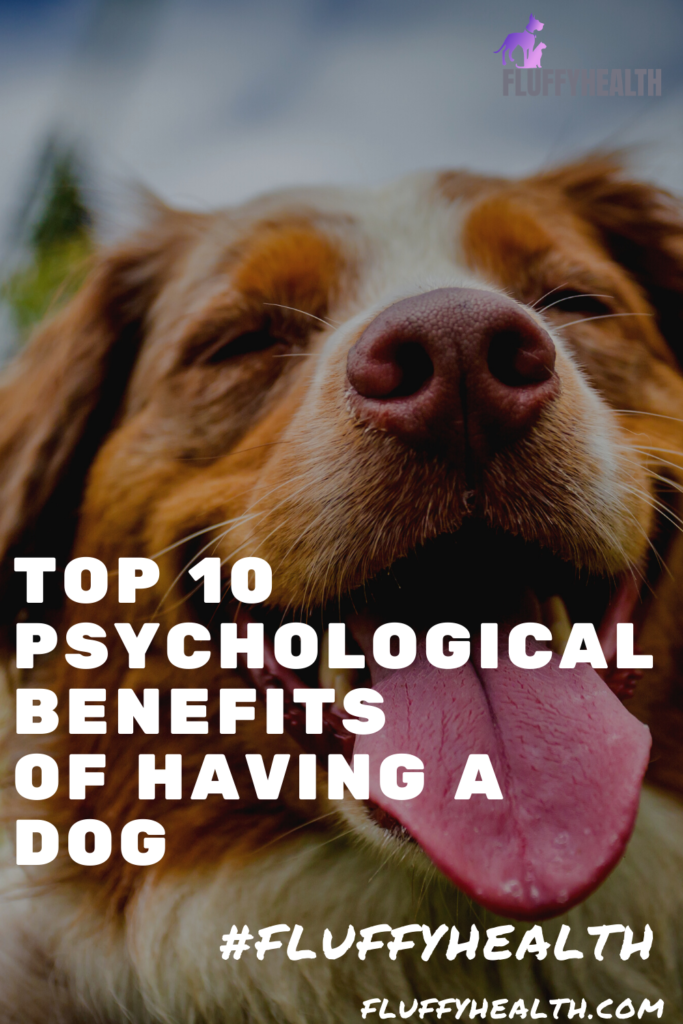 psychological-benefits-of-having-a-dog