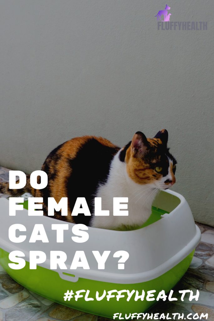 do-female-cats-spray