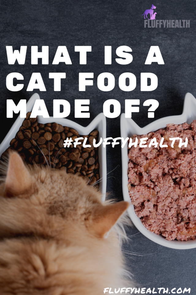 What Is Cat Food Made Of? Find Out What... Fluffyhealth