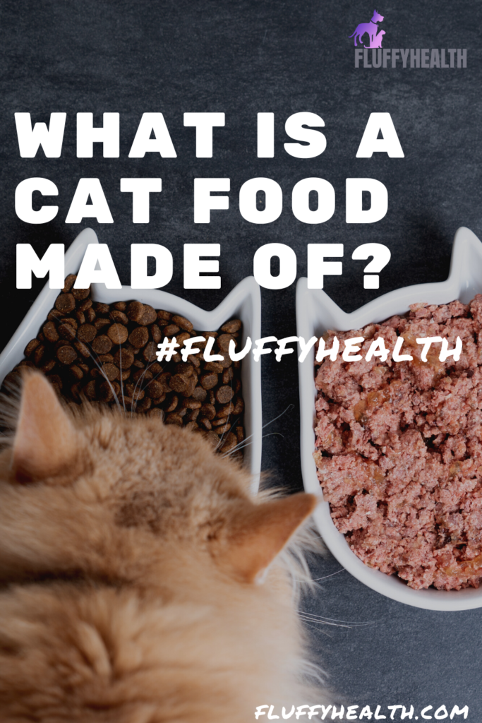 what-is-cat-food-made-of-find-out-what-fluffyhealth