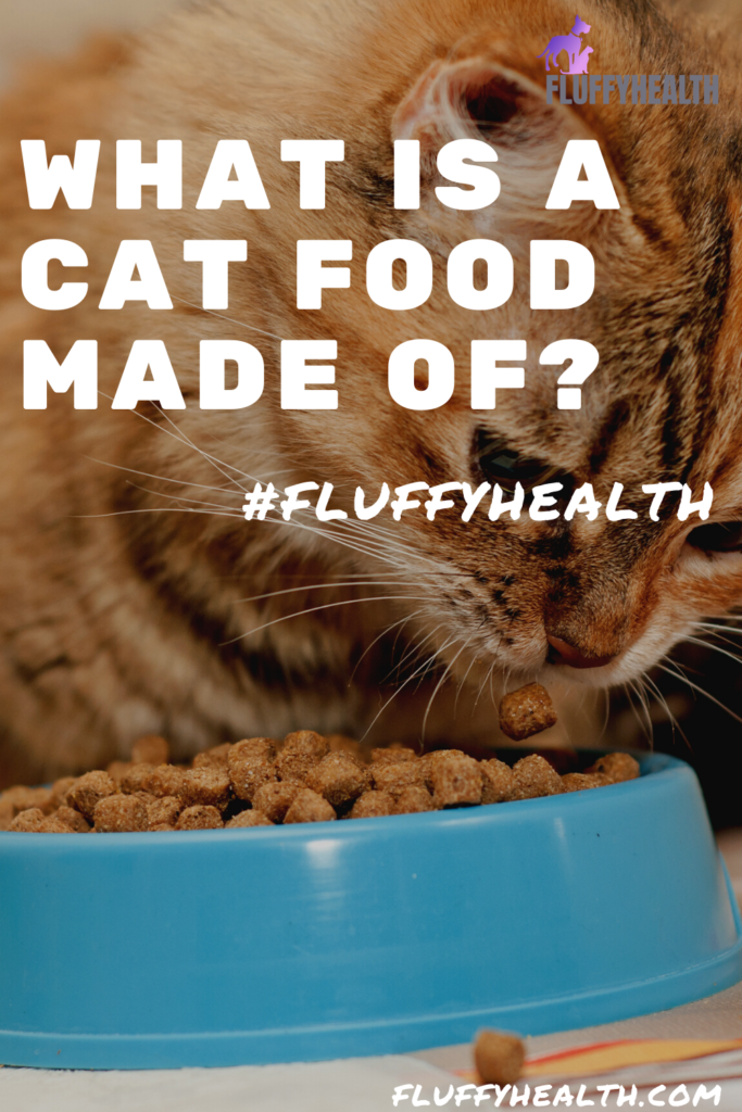 What Is Cat Food Made Of Find Out What You Need To Know About Cat Food 