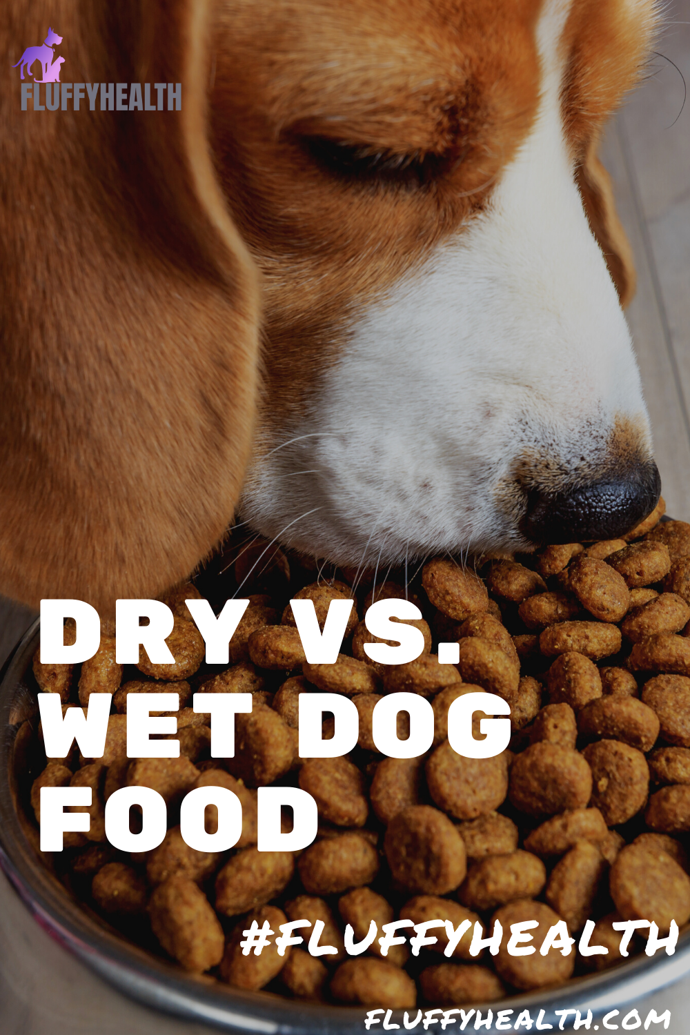 dry-vs-wet-dog-food