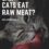 Can Cats Eat Raw Meat? Intriguing Fact About Raw Meat For Cats
