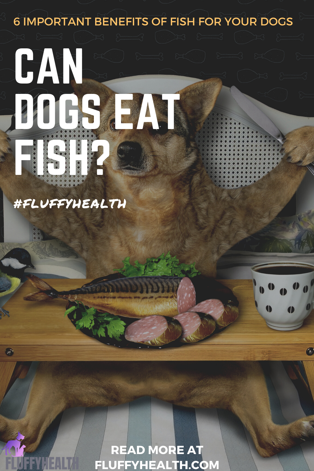 Can Dogs Eat Fish? 6 Important Benefits... | Fluffyhealth